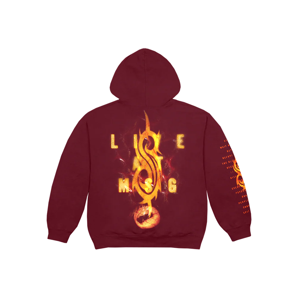 Live at MSG Hoodie